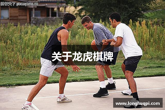 关于龙虎棋牌
